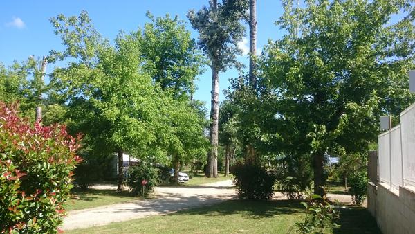 emplacements cote piscine camping du vieux chateau rauzan