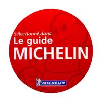 guide michelin camping du vieux chateu rauzan